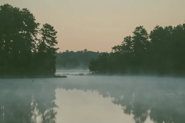 Lago en calma al amanecer con la niebla posada sobre el agua y la orilla arbolada al fondo