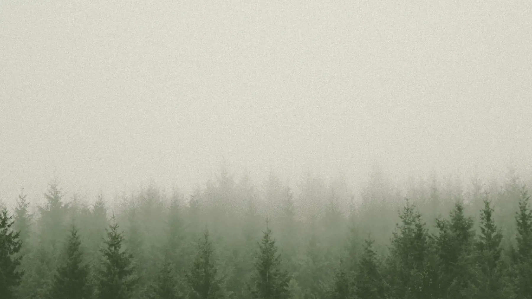 Niebla entre los árboles, la imagen del descenso que da nombre a Orpheus